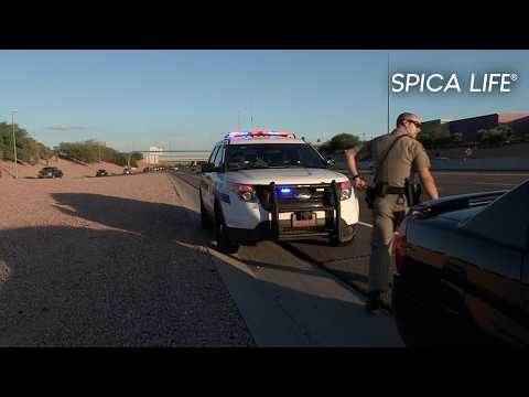 L'enfer des routes américaines / Enquête