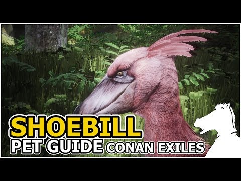Shoebill Conan Exiles