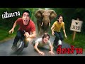 SPD ตะลุยเส้นทางช้างป่า 3199 โหดสุดในกาญ