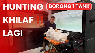 HUNTING BORONG !!!  IKAN PREDATOR PREMIUM UNTUK TAMBAH KOLEKSI IKAN PREDATOR DI MARKAS @JAMMVLOG