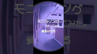 モニタリング　歌ってみた。#shorts #にじさんじ #cover