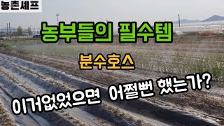 #샤인머스켓재배기술 #분수호스분사호스분수호수 #농사농업논밭들필수아이템농작물물주는방법