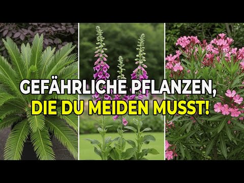 7 Dangerous Plants You Should Never Buy — Plus Safe Alternatives