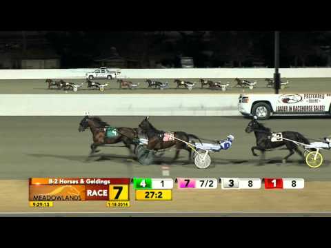 January 18, 2014 - Race 7 - Allstar Legend