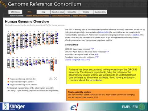 Introduction to genome browsers using Ensembl