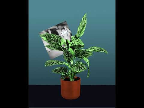 Electric Life (with C. Gold)