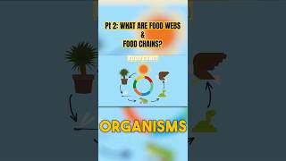 Part 2:🔥 Food Webs & Food Chains Explained! 🌿🐾