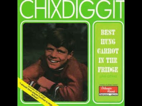 Chixdiggit - Best Hung Carrot In The Fridge