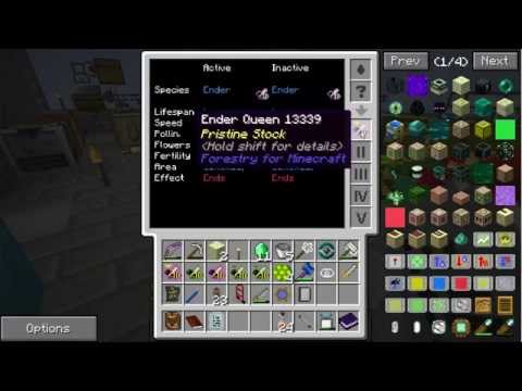 Agrarian Skies - Episode 240 - Changing Ender Bees End Biome Requirement to Flowers Silk Wisp