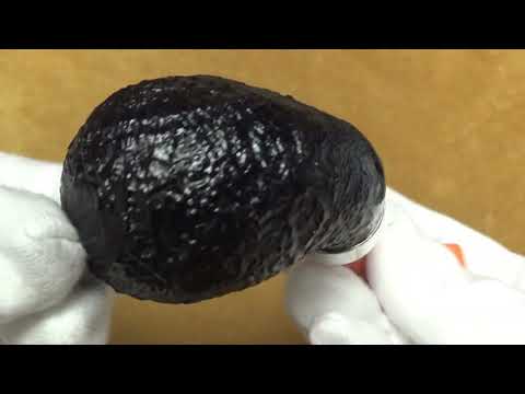 Pipa Peterson Halloween 2022 - 03