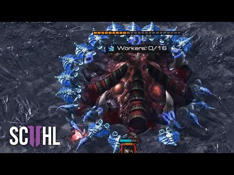DRONE RUSH vs DRONE RUSH - Starcraft 2 - 스타2 일벌레 러쉬