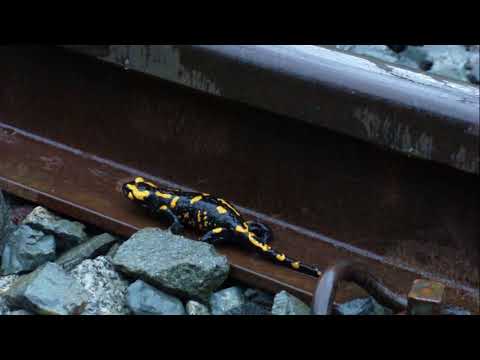 749.107 v jarní bouři