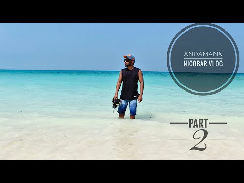 ANDAMAN TRIP| Raipur To Andaman and Nicobar 🌴 | PART 2 Andaman #andamanandnicobar  #vlog #island