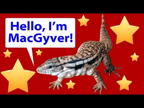 YouTube Video 42ssmaEES9s