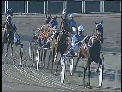 Trotto 27/01/2017 - 1ª corsa