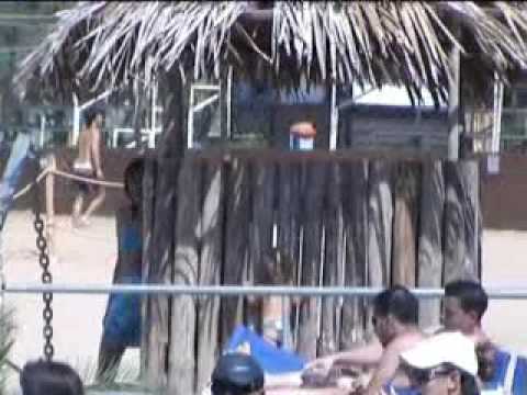 iguana beach bar 2004