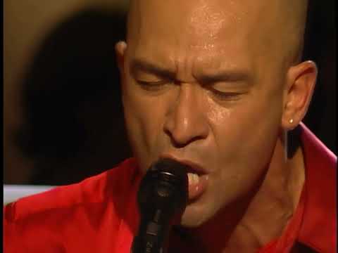Life During Wartime - Os Paralamas Do Sucesso