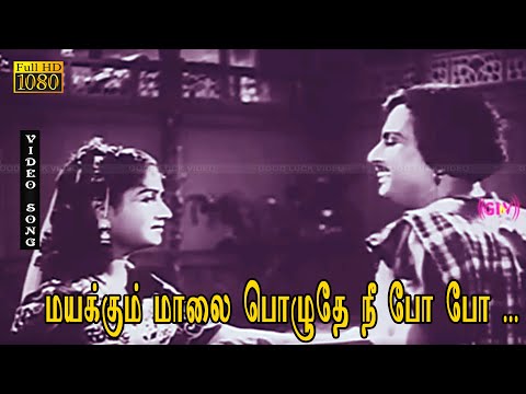 மயக்கும் மாலை பொழுதே நீ போ போ பாடல் HD | M.G.ராமசந்திரன் | T.R.ராஜகுமாரி | ராஜசுலக்ஷனா | குலேபகாவலி