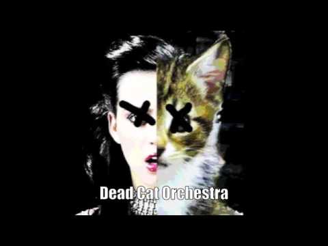 Kitty Purry - Hot N' Cold (Dead Cat Orchestra)