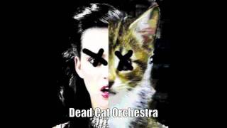 Kitty Purry - Hot N' Cold (Dead Cat Orchestra)