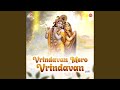 Vrindavan Mero Vrindavan Lofi