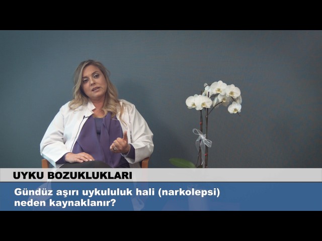 Surekli Uyku Hali Hangi Vitamin Eksikliginde Neden Olur Nefis Yemek Tarifleri