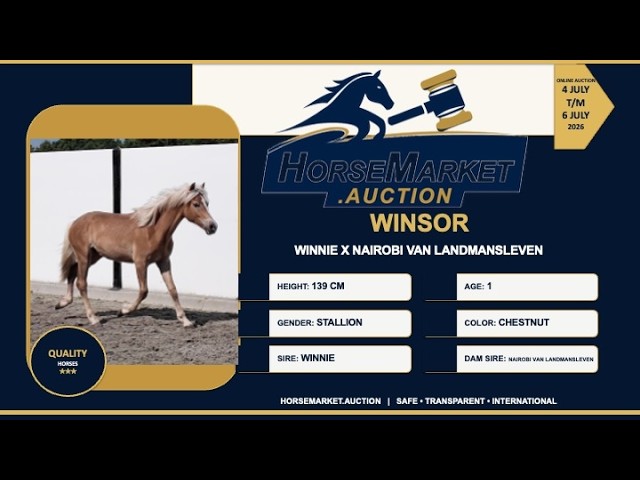 Winsor