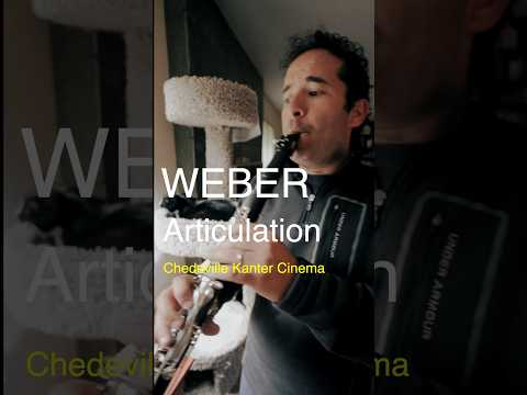 WEBER Concerto no.1 #clarinete #clarinet #clarinetist #classicalmusic