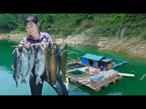 Living Alone on the Lake for 60 Days: Fishing to Survive