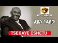 Tsegaye Eshetu - Leban godashiw - Lyrics Video 90s || ፀጋዬ እሸቱ - ልቤን ጎዳሺው ||