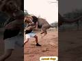 lion play with trainer☄️animals🦋4k 🥢funny video🔻memes#shorts #viral #trending #short #youtubeshorts✨