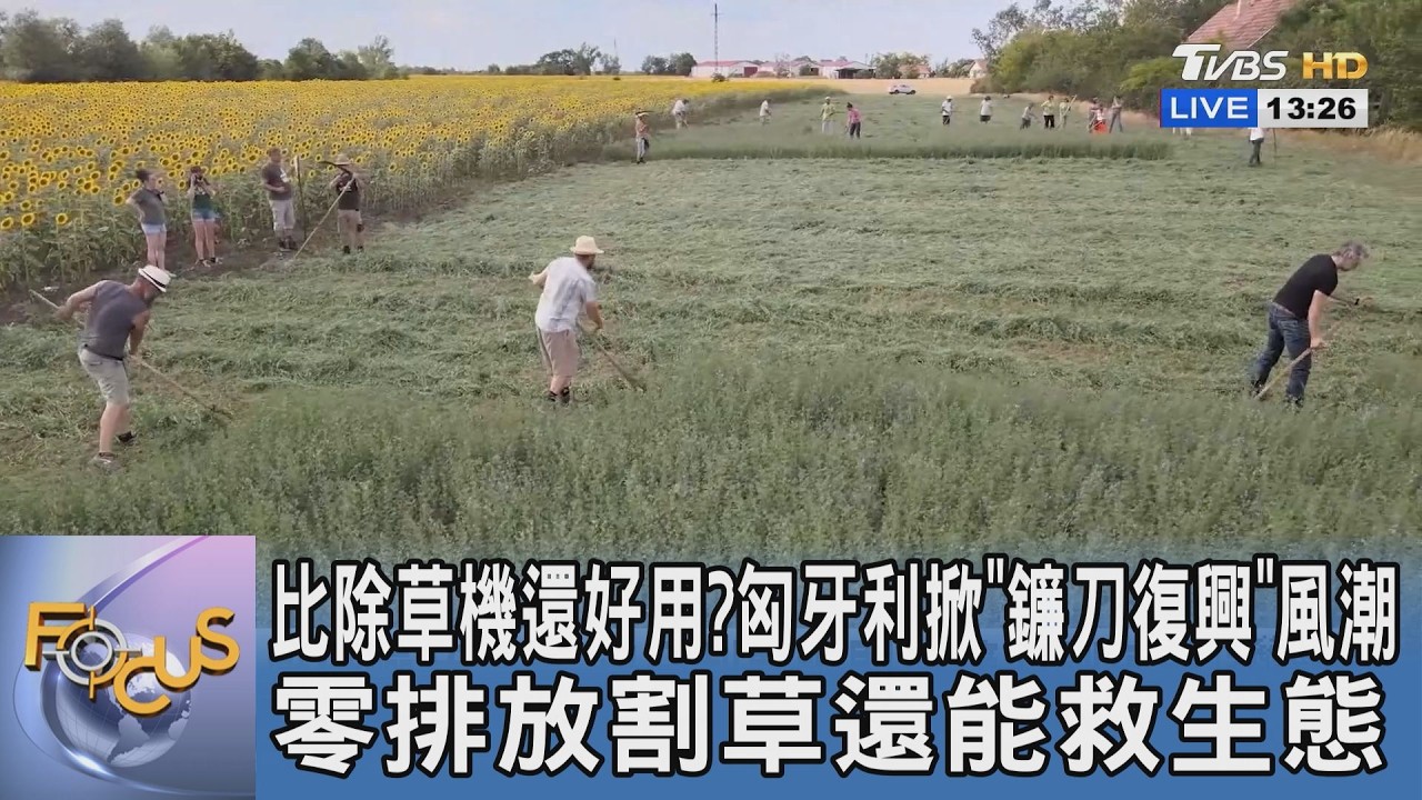 比除草機還好用?匈牙利掀"鐮刀復興"風潮 零排放割草還能救生態