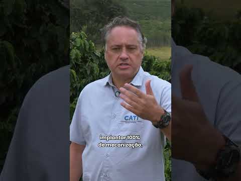 Produção do café arábica no interior de SP #agro