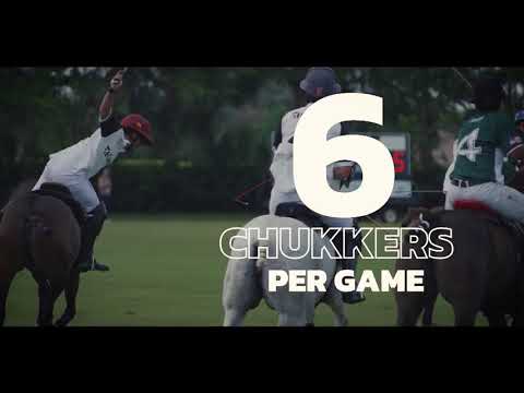 Learn the polo Basics!