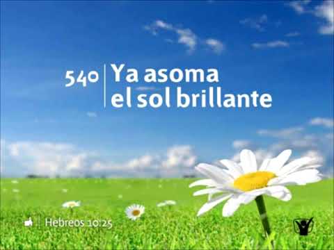 540 🌻 Ya asoma el sol brillante #INSTRUMENTAL