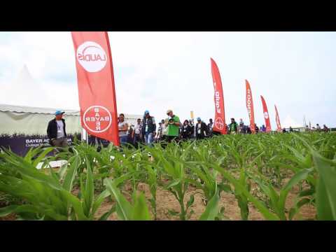 Bayer Agro Arena 2016