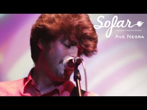 Ave Negra - Gotitas | Sofar Costa Rica