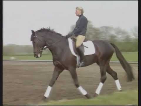 Reiner Klimke Dressage in Detail DVD 1