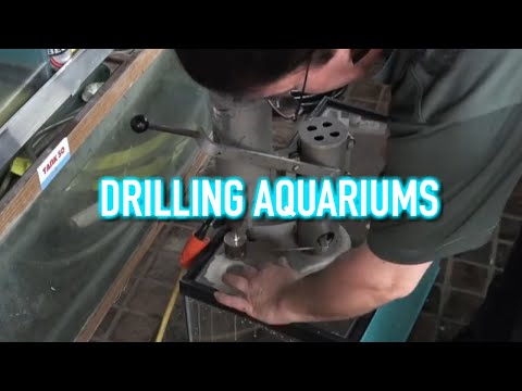 HOW TO: Drill Your Aquarium