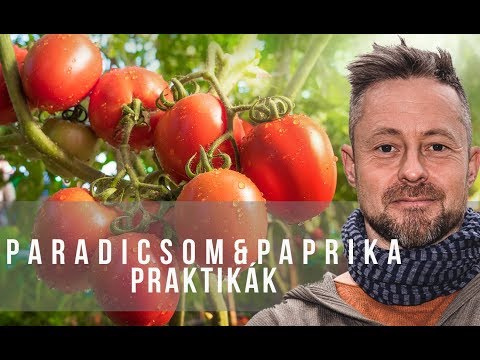 , title : 'Márk paprikát & paradicsomot ültet'