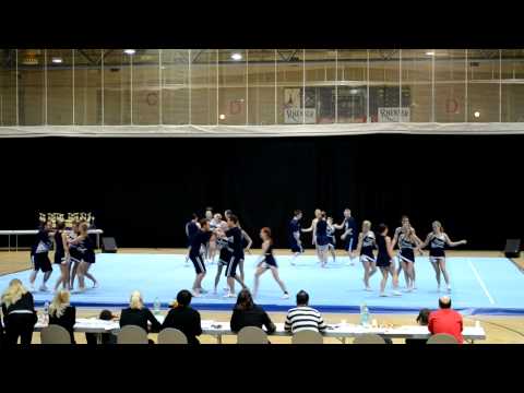 Stunt & Dance Company Senior Coed - SDC Unlimited