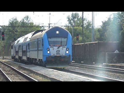 Cesta Syslografem z Dobřichovic do Prahy 31.8.2020