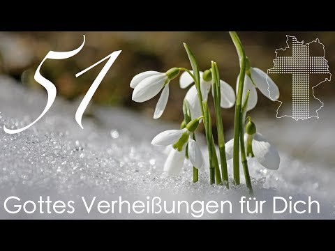 Gottes Verheißungen für Dich - Johannes 12,26 | Videokalender 51/365 - Deutschland braucht JESUS