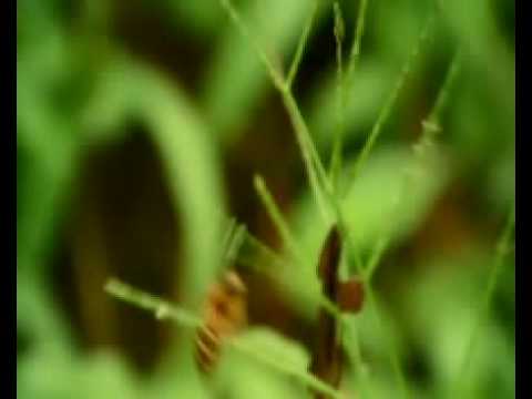 Lily Chiam - Where Can I Go Instrumental Version