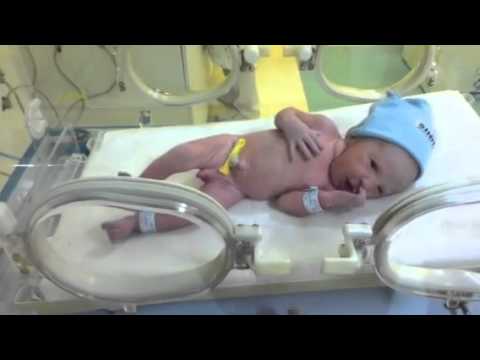 Nascimento Felipe Costa Gemha