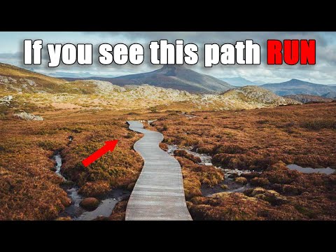 What REALLY Happens on the Overland Track in Australia (hikers VANISH)