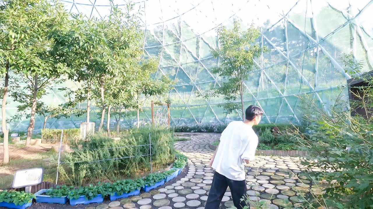 韓国遠征の未公開シーン