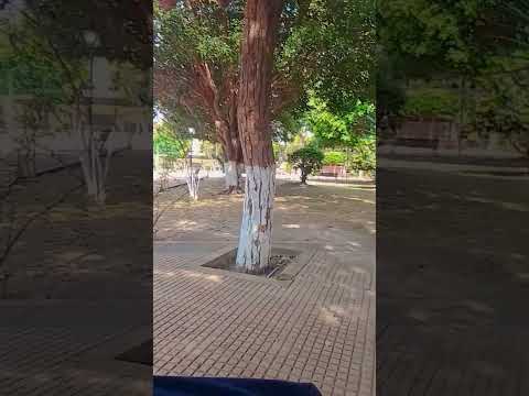 en mi hermoso pueblo Magdalena beni