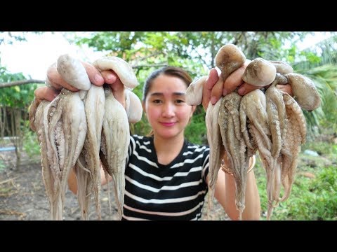 Yummy Octopus Stew Recipe - Yummy Octopus Cooking - Cooking With Sros Video