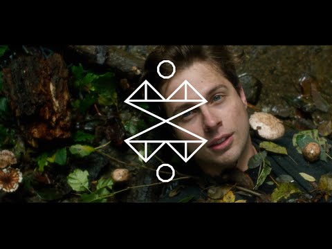 WE WERE WILD ONCE // Farewell Dear Ghost (Official Video)